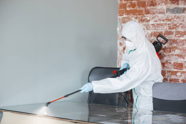 Best Industrial Mold Remediation in Poth, TX